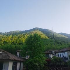 Jiu Yi Jia Tu Cai Guan User Photo