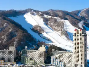 Phoenix Pyeongchang Snow Park