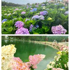 听花谷餐厅 User Photo