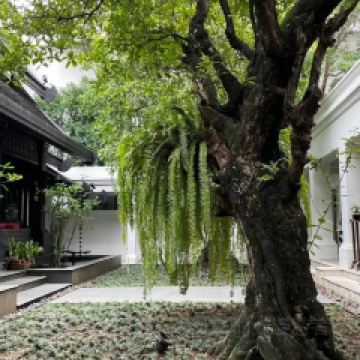 Khao Soi Maesai張用戶圖片