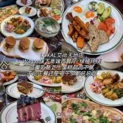 THE CANDOUR User Photo