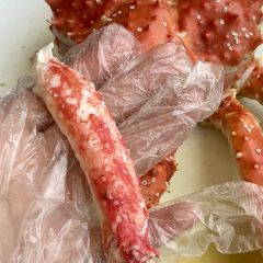 Octopus 여행 사진