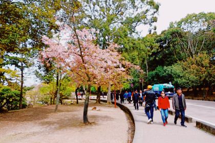 Kamameshi Shizuka Kouen-ten