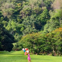 Valley Coffee Lanna Resort User Photo
