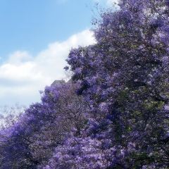 宋记冕宁土菜馆(海滨北路店) User Photo