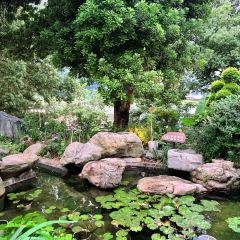 XISHAN YUNJING User Photo
