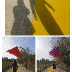 老砂锅 User Photo