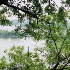 無錫魯能萬豪飯店·萬豪中餐廳張用戶圖片