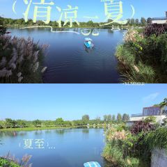 云孚里云宿.西湖云岛·餐厅 User Photo