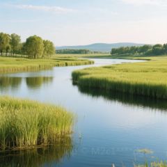 Lvji Old Flavor User Photo