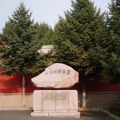 REAL BREAD User Photo