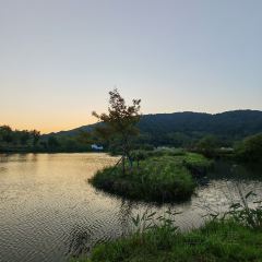 枇杷熟了coffee User Photo