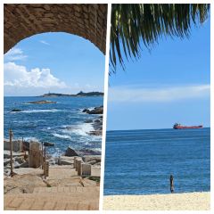 TIANCHENG NEST,SHARK-FINE&ABALONE User Photo