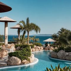 阿动埔田笋粿(锦绣家园店) User Photo