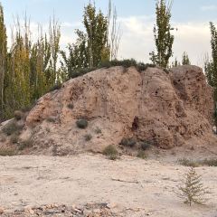 阿尔茶抓饭店(原甜穆奇鸽子汤店) User Photo