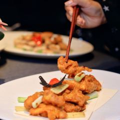 STAR OF PU User Photo