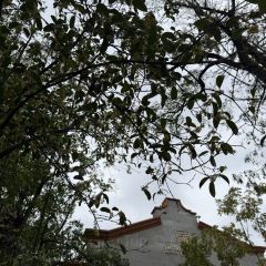 SOMEWHERE kitchen User Photo