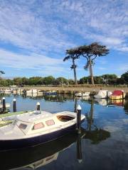 Mordialloc Pier