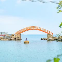 Sadoya User Photo