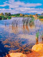 Wangguan Wetland Park