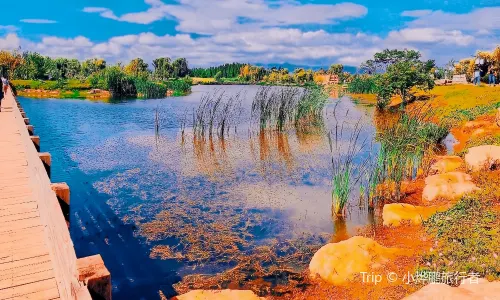 Wangguan Wetland Park