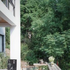 一默松风 User Photo