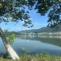 Xinghu Yujing User Photo