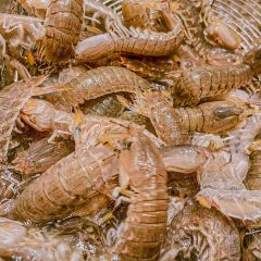 福宁海鲜大排档 User Photo