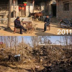 金贝儿(万达金街店) User Photo