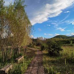LAO ZI HAO DAN LONG SHUI KU SHENG TAI YU GU User Photo