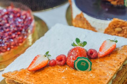 Hallab 1881 قصر الحلو