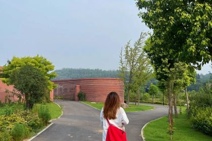 时令花开-皂角原宴园餐厅