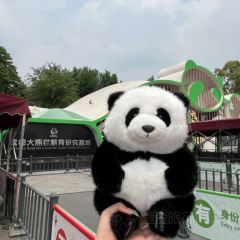 YUSHAOXIA User Photo