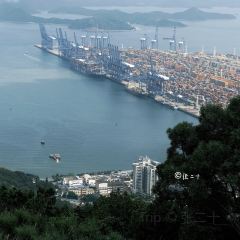 蜜悦·秘野仙踪半山森林餐厅 User Photo