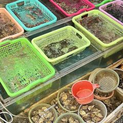 渔夫先生·海鲜小炒大排档(香湖湾店) User Photo