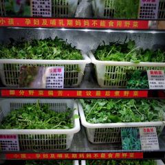 小舒冰粉 User Photo