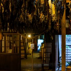 Kikkawa張用戶圖片