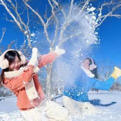 红灶台铁锅炖(雪谷景区店) User Photo