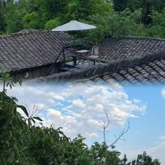 误会·庭院 User Photo