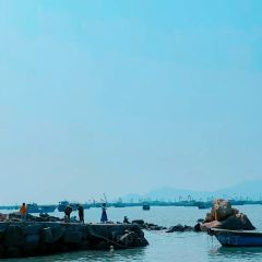 海边有棵树 여행 사진