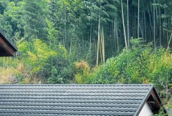 安吉听涧山川设计民宿·听涧私厨餐厅 User Photo