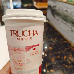 初茶花月(观音桥新港城店) User Photo