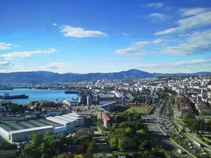 Samsun Pidecisi