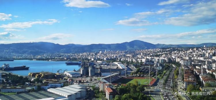 Samsun Pidecisi