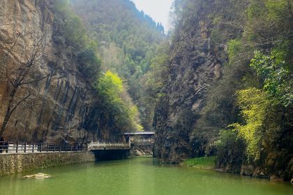 陇原·西域烤肉(东江店)