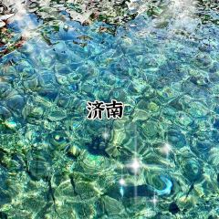 孙家糖油条 User Photo
