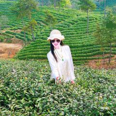 WEN XIN CHA ZHUANG YUAN User Photo