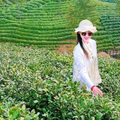 WEN XIN CHA ZHUANG YUAN User Photo