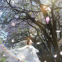 宋记冕宁土菜馆(海滨北路店) User Photo