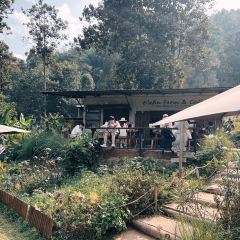 Elefin Farm & Cafe เอเลฟิน ฟาร์ม แอนด์ คาเฟ่ User Photo